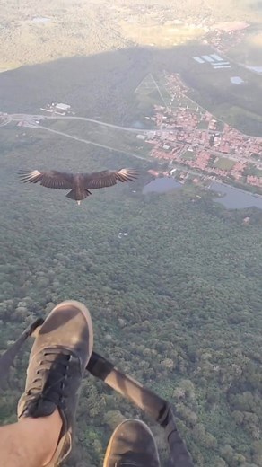 AJAY on Instagram: "❤️😍🦅 110m views 😍🔥🤯 Video credit @rafaellvital , @uru_fly"