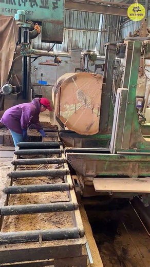 How Logs Turn Into Perfect Boards – Wood Cutting Factory