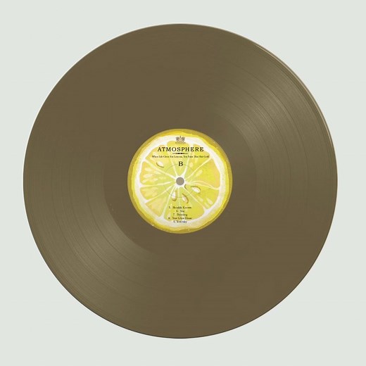 36K views · 26 reactions | What do you do when life gives you lemons?...