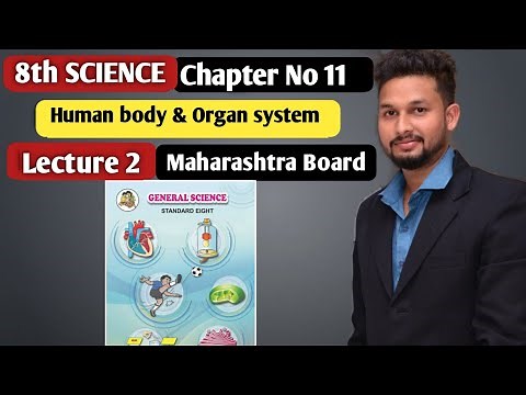 8th Science | Chapter 11| Human Body And organs system | Lecture 2 | maharashtra board |
