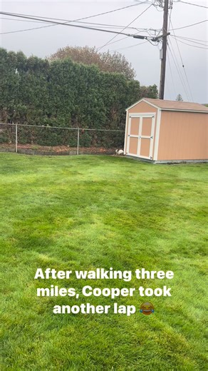 After walking three miles, Cooper took another lap 😂 | Mike Ellis