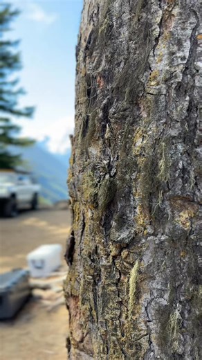 A Nice Weekend Getaway In The Mountains Of Washington State With A Be... | Retro Revival