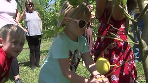 Clearwater man creates ‘garden of paradise’ to balance ecosystem, educate community