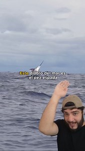 Xiphias #pezespada #biologia | Animaldexx