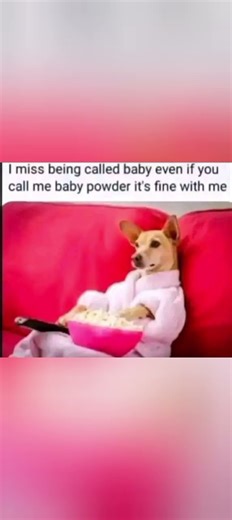 please subscribe 🥺😞 #funnymemes #memes #meme