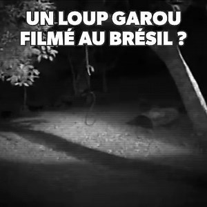 🐺 Une créature sombre, poilue, avec un museau et ressemblant à un humain mélangé à une bête semble rôder au Brésil... Un loup garou ? ▶️ Strange Evidence, à voir en streaming sur RMC BFM Play ➡️ https://bit.ly/462qXJW | RMC BFM PLAY