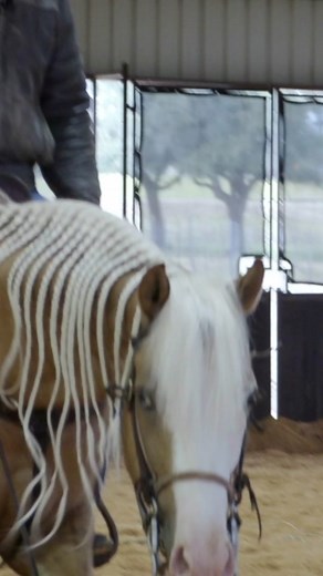 Behind the scenes if ehat it takes to make a great reining horse. @SmartPakEquine @o3animalhealth @Kimes Ranch