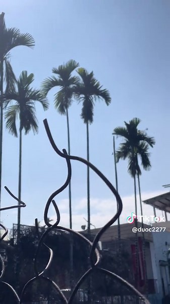 #南海夏季馬拉松 @明