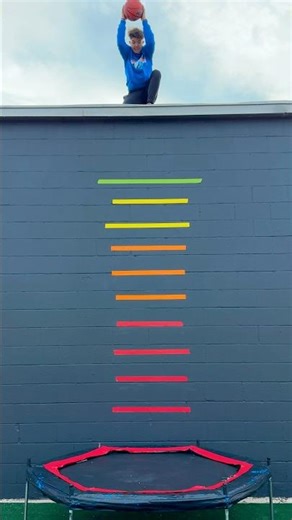 Which Ball Will Bounce the Highest? 🏀