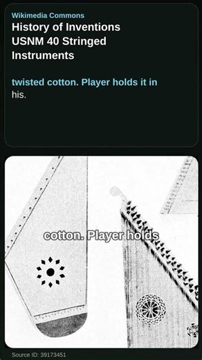 Stringed Instruments