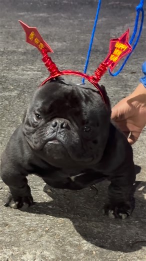 Macy Jeremy on Instagram: "👽SCREECH👽"