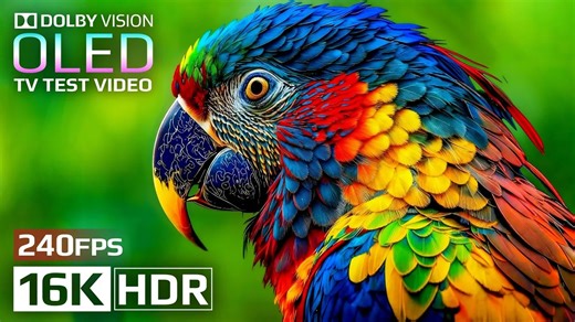 【OLED 屏幕测试】16K HDR 240FPS 杜比视界｜超高清画质演示