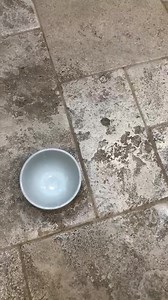 43K views · 4.4K reactions | Good Friday Morning!!! Another Guard Duty day for ME! Mom is having the kitchen faucet replaced and Mark is coming over here and he’s a man.....not fond of other men in MY house!! Mom said a walkie might be in MY future while he is here!! We are spending most of the time inside the house with the AC because the air quality is bad and it’s hot outside! Everyone have a GREAT Friday!! | Brewster | Facebook