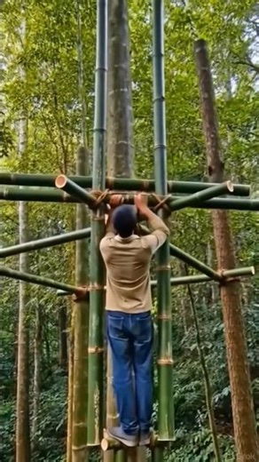 Building a Giant Bamboo Treehouse Alone in the Wild Forest | Survival Shelter Timelapse