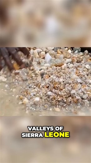 From past to present, alluvial diamond mining continues. In Sierra Leone, Angola, and the Democratic Republic of Congo, miners stand waist-deep in rivers, searching for fortune's glint beneath their feet. #DiamondMining #SierraLeone #Angola #DRC #AlluvialDiamonds | Mineral Gemstones