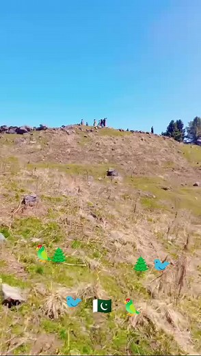 #🥀🥀🐦🐦🦜🦜🦜 #🇸🇦🇸🇦🇸🇦🇸🇦💔😭😭🖐️🖐️🥀🇵🇰🇵🇰 #🌲🌲🌲🥀🥀💕🦜💔