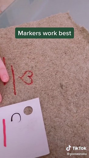 Creating Paper from Grass: A Unique DIY Project