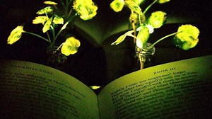 Scientists have found a potentially super cool replacement to electrical lighting