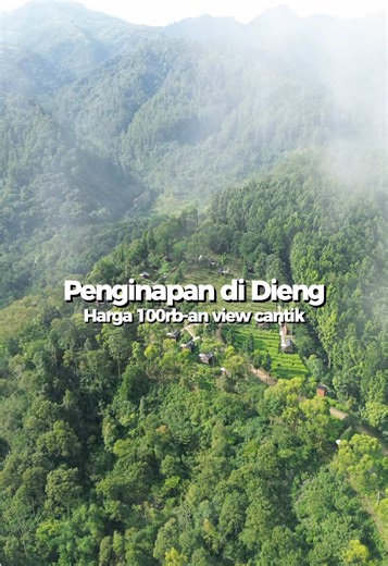 Bobocabin Dieng: Penginapan Estetik dan Nyaman