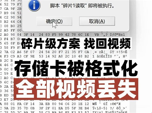 存储卡被格式化，造成卡中全部视频丢失，碎片级方案找回视频。
