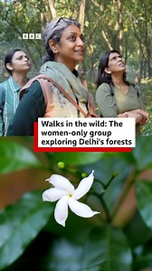 Rama Lakshmi Dhavala and Nidhi Batra have been going on nature appreciation walks in and around Delhi for years. When they found that many others were interested in joining them, they formed Women and Wilderness, a walking group for women. In their walks - usually in the early mornings over a weekend - the women explore and form new connections, all while learning about Delhi’s unique ecosystem. As the city faces worsening air pollution, participants say these walks help them remember what is re