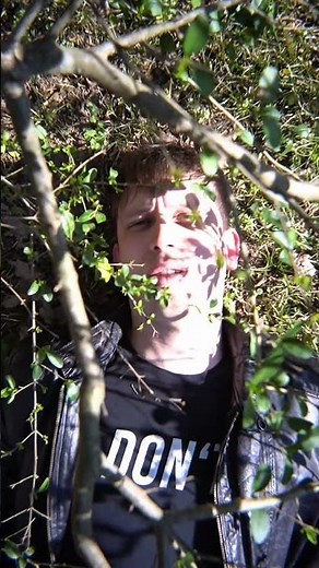 spring is here again 🍃#cover #altrock #rockmusic #Nirvana #BadPlans