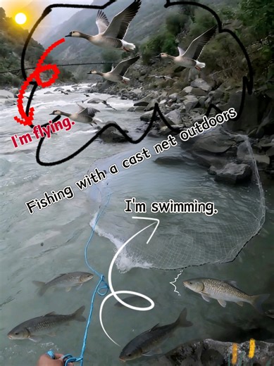 Casting Nets for Fishing: Tips and Techniques