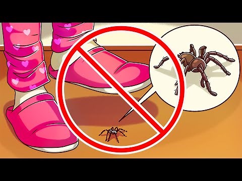 How to Overcome a Fear of Spider Quickly
