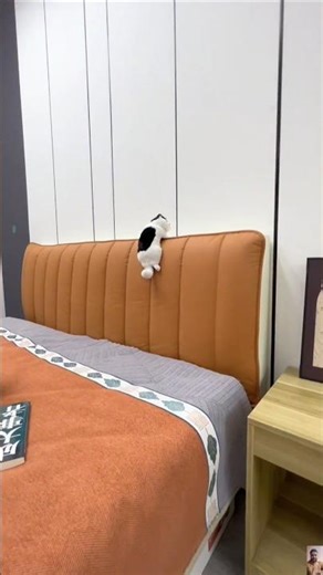 Transform Your Bed with These Ultra Soft Headboard Covers #shorts