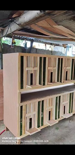 176K views · 1.8K reactions | 10 doors keeping cage � | Brian Pangilinan | Facebook