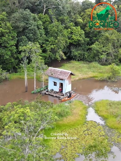 Hari kedua dan ketiga bermalam di rumah rakit tengah hutan, dan cari ikan di suasana air rawa dalam | Borneo Rawa Island
