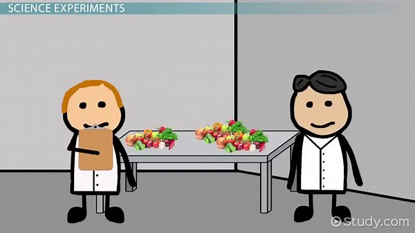 Controls & Variables in Science Experiments | Overview & Examples