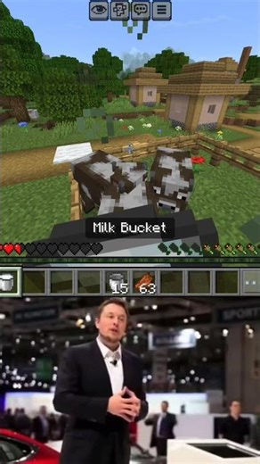 this is elon musk in minecraft