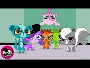 Littlest Pet Shop | Books and Covers | COMPILATION | Pet Cartoon
