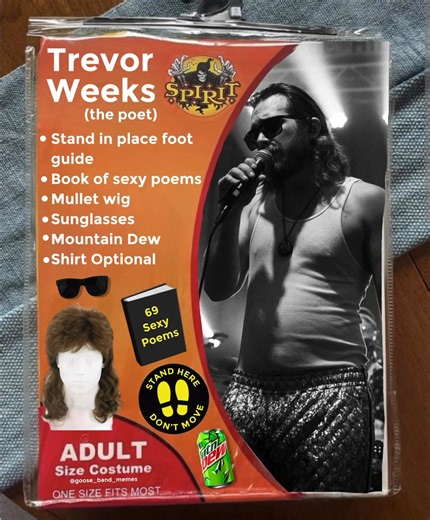 Goose Band Memes on Reels