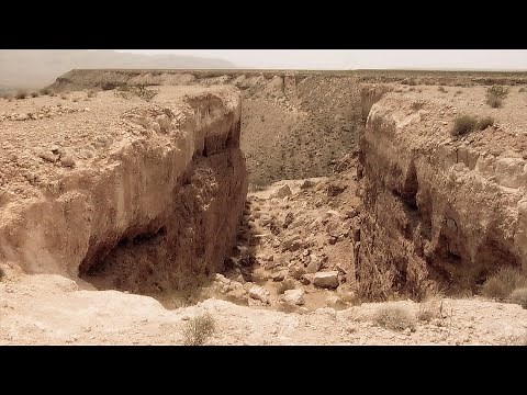 MICHAEL HEIZER : DOUBLE NEGATIVE