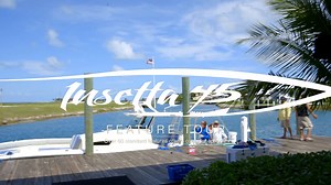 Insetta 45 Features Tour