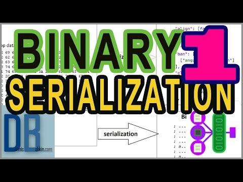 Part 1 | Serialization | Example of Binary Serialization in C++ | Secure Programming Practices