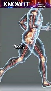 🏃‍♂️ 10 Exciting Facts About Biomechanics (Human) | KNOW iT