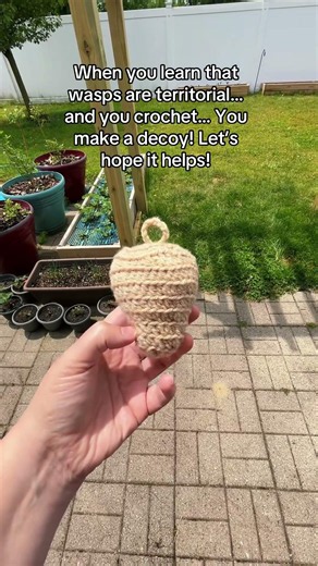 Will this work? Hopefully!!! #crochet #summer #yarn #wasp #decoy #hopefully #fyp #new #craft