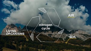 Video: The Nitrogen cycle - Revision guides: Life on Earth: Video playlist - BBC Bitesize