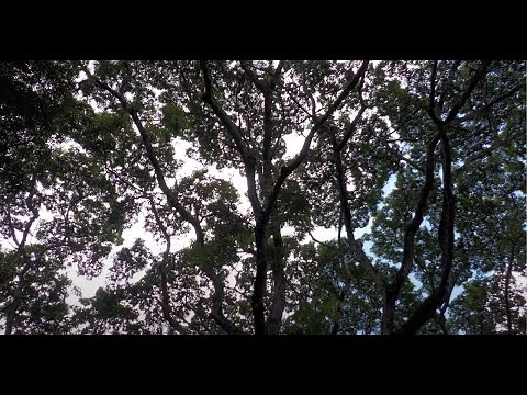 Desktop Error / โลกรอบตัว Discography Unplugged (Live Session)