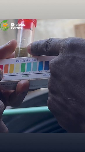 Next Video on how to use the PH Testing Fluid for accurately measuring the pH of your water.⁣⁣⁣⁣⁣⁣ | Sholeks Farms