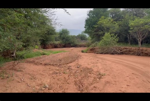 Experience the Power of Viper Performance Exhausts