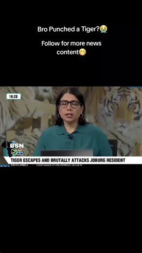 Tiger Escape Incident in South Africa