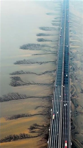 The ingenious work of nature.