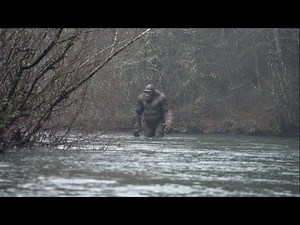 New Shocking Bigfoot Sightings Captured on Camera