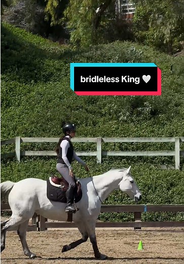 Bridleless Horseback Riding with Ela Jae Jewelry