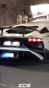 Sportscars Revving at Car Meet! #lamborghini #diesel #bmw #amg #supra #cars