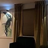 SOLOKOS Telescopic Ceiling Mount Curtain Track System 33 to 59 inch Adjustable Room Divider Track Set (33-59") White